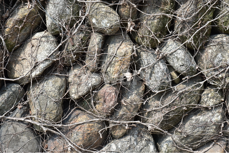 돌담,돌각담,시골골목길,시골풍경,운치,돌담길,시골골목,감성,자연,풍경,nature,landscape,rock,록,wood,나무,rubble,파편