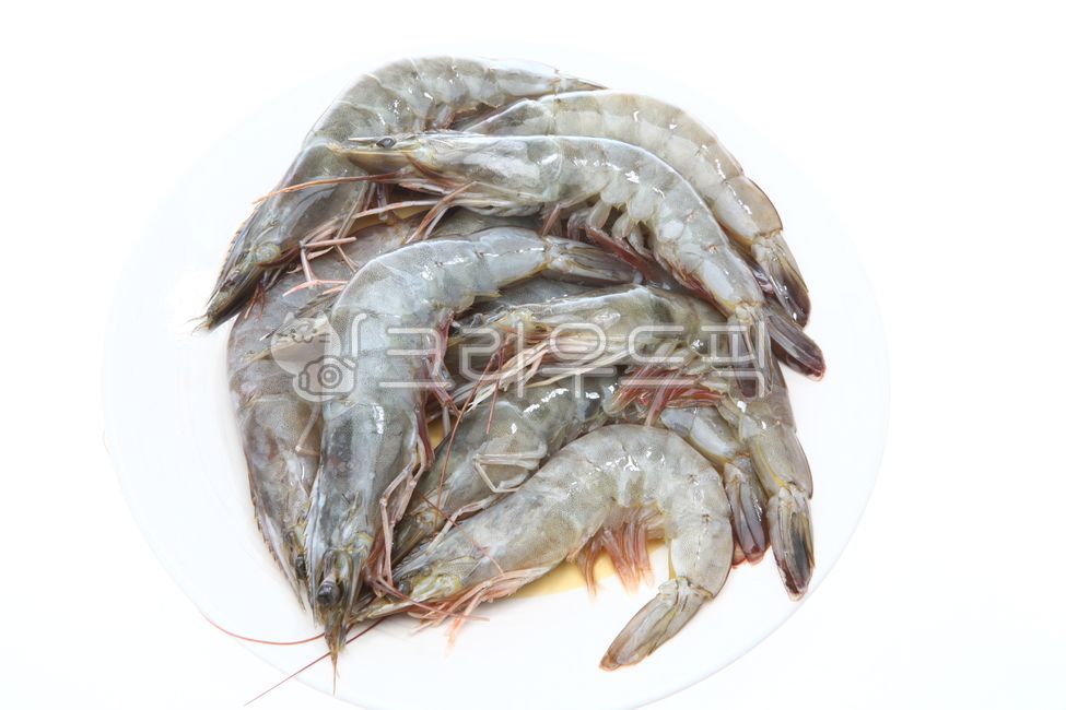 새우,흰다리새우,새우생물,새우재료,수산물,화이트새우,새우요리