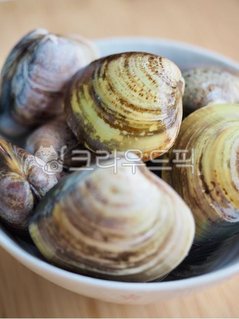 foodingredients,sealife,seashell,cookingingredients,clamshell,lilyclam,wellbeing,raw clams,Wellbeing food,Food Ingredients,invertebrate,fish and shellfish,marine life,seafood,lily shell,cooking ingredients,food,wellbeingfood,rawclam,background,clam,invert
