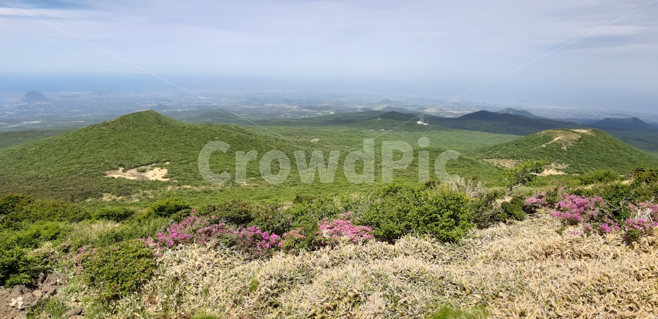 제주도,한라산,영실코스,오름군락,털진딜래