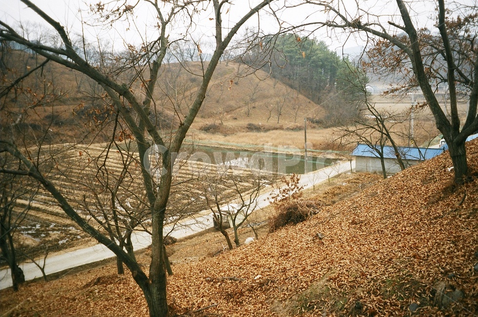 시골풍경,자연풍경,겨울,시골,시골산,시골,마을,풍경,landscape,country,rural,town