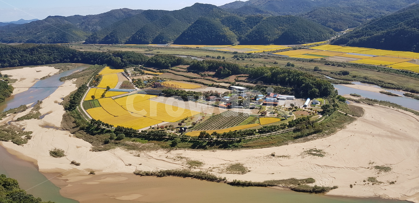nature,자연,landscape,경치,outdoors,옥외,scenery,풍경,aerialview,황금물결