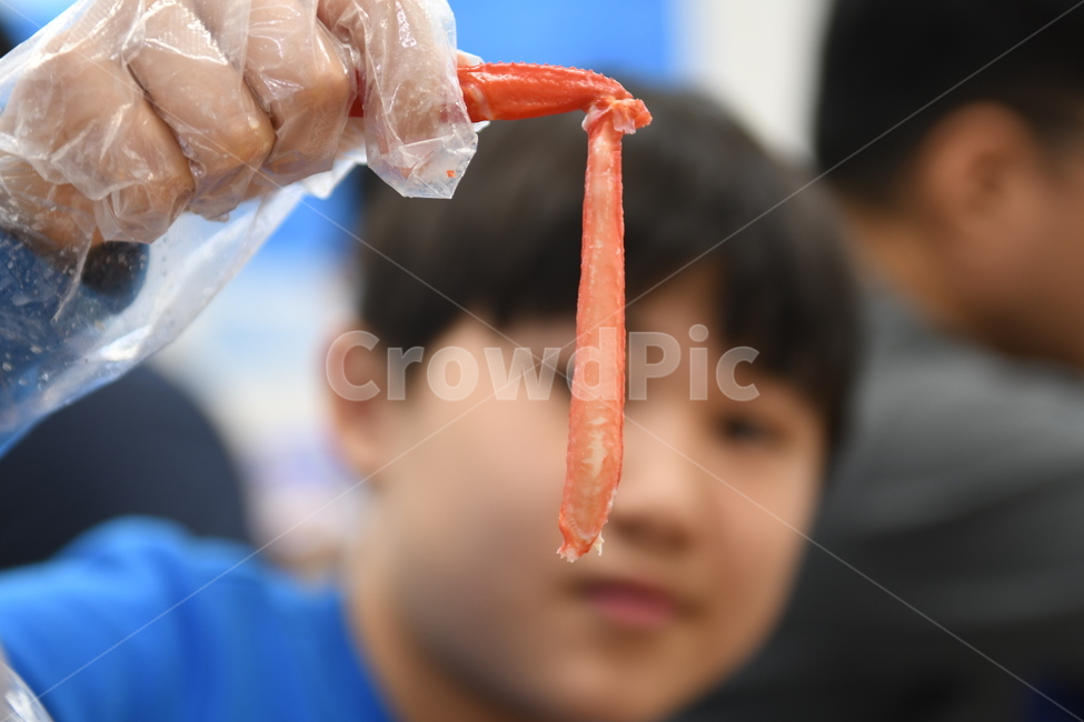 게,게살,털게,음식,바다,요리