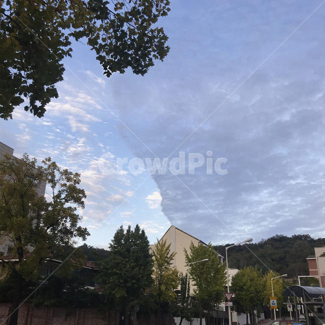 구름,경계선,하늘,경계,나무