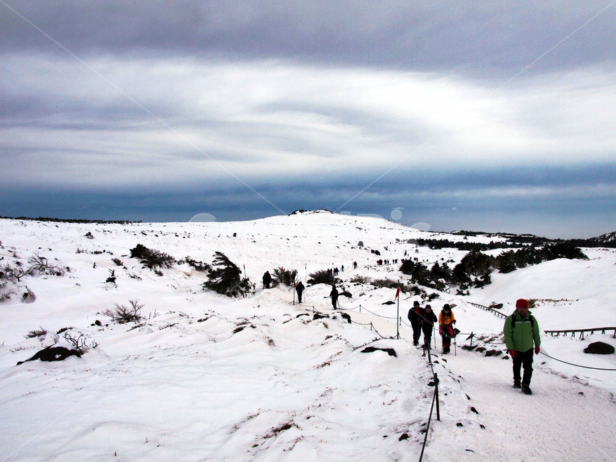 어리목,한라산,제주도,설경,눈,겨울,탐방로,등산로,등산객,구름,겨울,계절,winter,season,자연,풍경,nature,landscape,outdoors,옥외,mountain,산