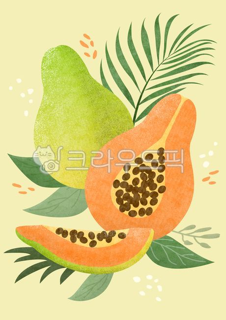 그림,일러스트레이션,일러스트,드로잉,배경,백그라운드,자연,여름,계절,시즌,열대,열대식물,열대과일,과일,음식,식물,컬러풀,트로피컬,식품,나뭇잎,열대나뭇잎,여름과일,맛있는,신선한,달콤한,파파야,야자수,야자잎,아레카야자,color,grunge,leaf,palm,papaya,drawing,colorful,botanical,tasty,vitamin,sweet,vegetarian,organic,juicy,fresh,jungle,exotic,green,wallpaper,healthy,food,summer,season,beautiful,natural,vintage,nature,tropical,plant,fruit,illustration,background