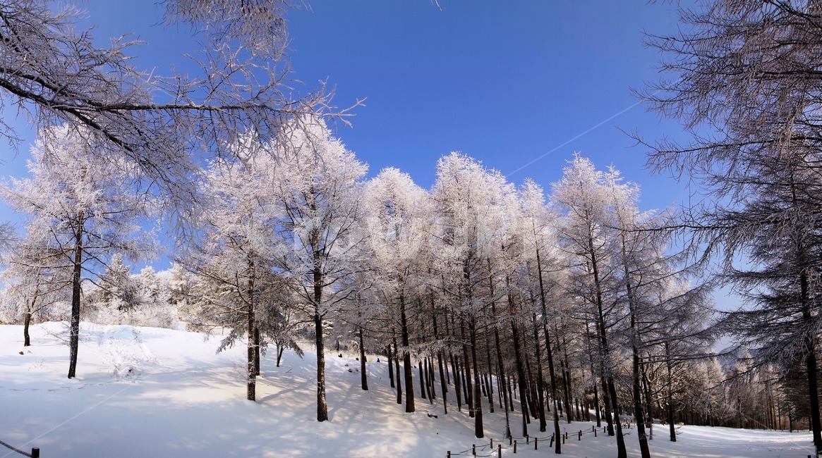 함백산,만항재,설경,풍경,겨울,겨울,계절,winter,season,자연,풍경,nature,landscape,outdoors,옥외