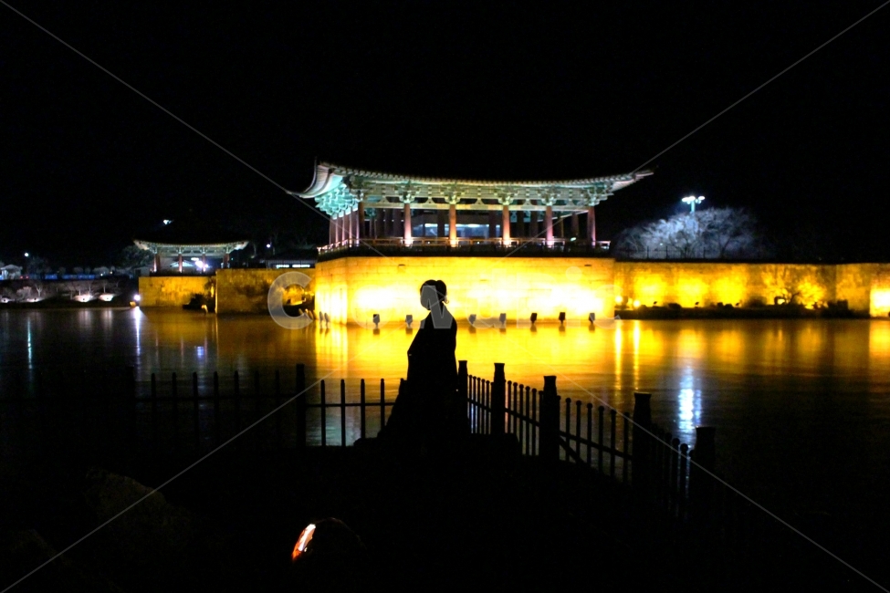 풍경,국내여행,감성사진,밤,야경,안압지,동궁과월지,실루엣,사람,여자,sky,night,야경,밤,풍경,nightscape,night,landscape,한국전통,한국문화,korean traditional,korean culture,랜드마크,landmark,tourist attraction,한국랜드마크,한국관광지,한국명소,korea landmark,korea tourist attraction,사람,인물,인간,human,person,인물실루엣,사람실루엣,character silhouette,human silhouette,architecture,건축물,building,건물,temple,신전,worship,예배,shrine,신사
