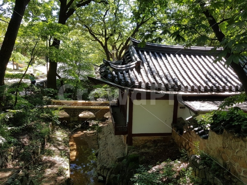 절,예쁜,계곡,여름,운치,자연,풍경,nature,landscape,여름,계절,summer,season,한국전통,한국문화,korean traditional,korean culture,outdoors,옥외,garden,정원,arbour,정자