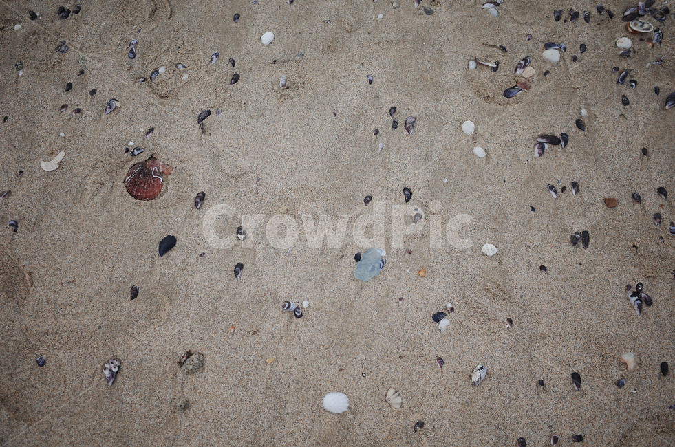 모래,sand,자연,nature,옥외,outdoors,흙,soil,바닥,ground,해변,beach,해수욕장,모래사장,발자국