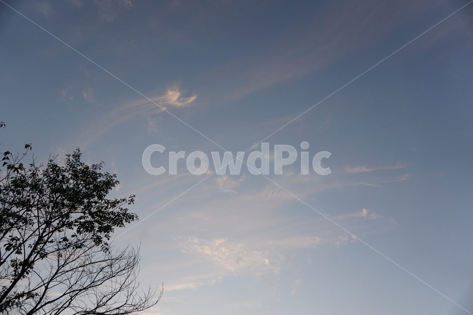 nature,자연,옥외,하늘,구름,노을,sky