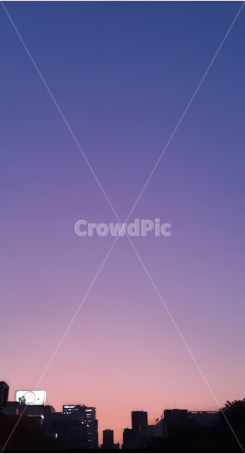 nature,자연,outdoors,옥외,하늘,보라,purple,sky,감성,배경화면,background,폰배경,감성사진,풍경,landscape,photograph