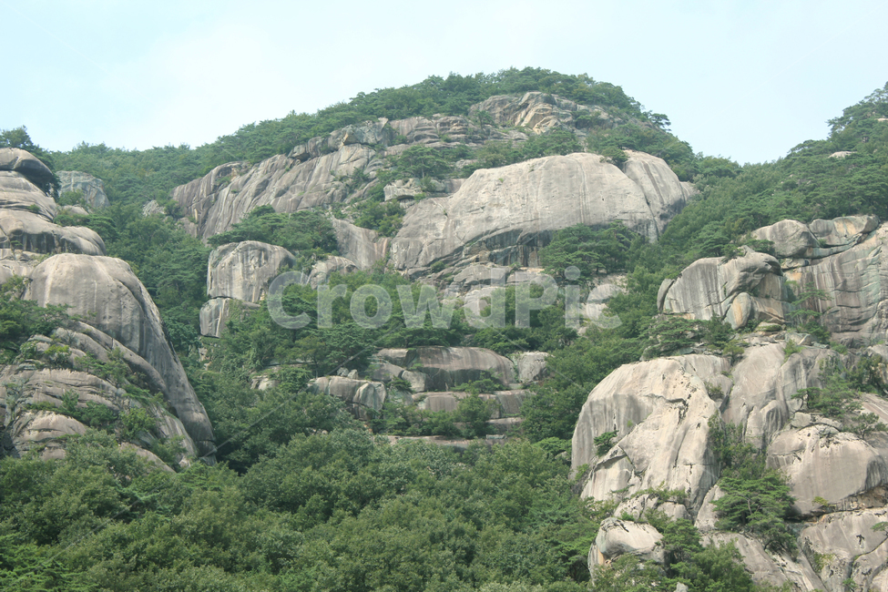 asia,cliff,forest,green,korea,mountain,nature,rock,stone,tree,자연,한국,아시아,절벽,암벽,돌,바위,바위산,풍경,숲,나무,그린,녹색,산,산정상,정상,산꼭대기,자연,풍경,nature,landscape,한국자연풍경,한국자연경관,korea nature landscape,outdoors,옥외,낭떠러지,slope,경사