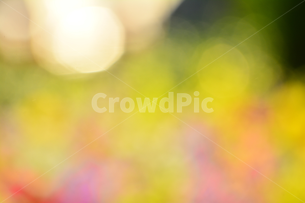 봄,색감,감성,분위기,느낌,벡그라운드,emotion,feeling,sensible,칼라풀,색상,화려한,colorful,season,시즌,계절,보케,빛망울,몽환적,그라데이션,gradation,art,번짐,혼색,다양한,노랑,빨강,핑크,분홍,그린,녹색,봄배경,background,바탕,배경
