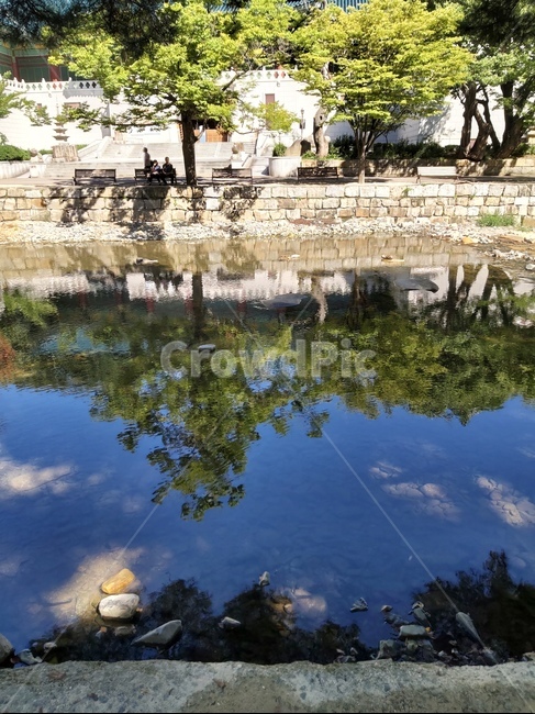 자연,nature,물에비친모습,통도사,가을,자연,풍경,nature,landscape,water,물,outdoors,옥외