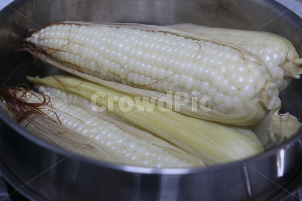 옥수수,곡물,식물,조리,요리,간식,여름,푸드,음식,찐,음식,식재료,요리,food,cook,meal,dishes,food reserves,곡류,곡식,cereals