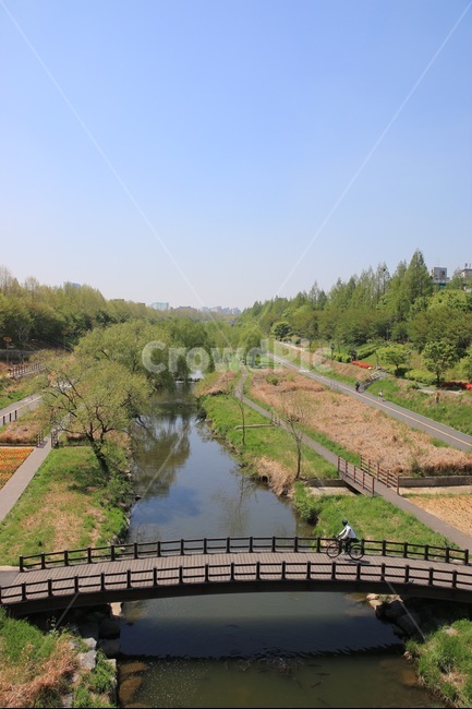 봄이미지,양재천,산책길,산책,봄,다리,자전거,자전거길,천,물길,물,강,강변,맑은하늘,하늘사진,푸른하늘,자연,풍경,nature,landscape,한국자연풍경,한국자연경관,korea nature landscape,도시,city,한국도시풍경,한국도시경관,korea cityscape,outdoors,옥외,ditch,도랑
