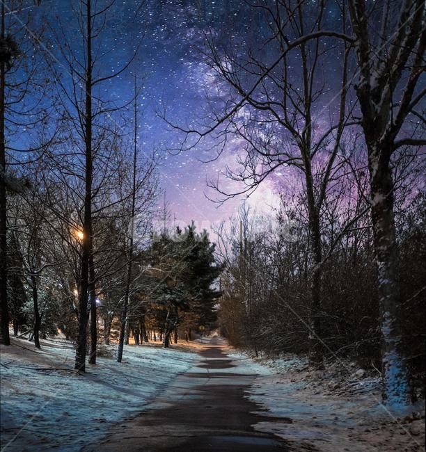 풍경,눈,길,하늘,야경,겨울,은하수,나무,감성,겨울,계절,winter,season,자연,풍경,nature,landscape,야경,밤,nightscape,night,색깔,색상,색채,색감,color sense,color sensitivity,feeling of color,tree,plant,식물,outdoors,옥외
