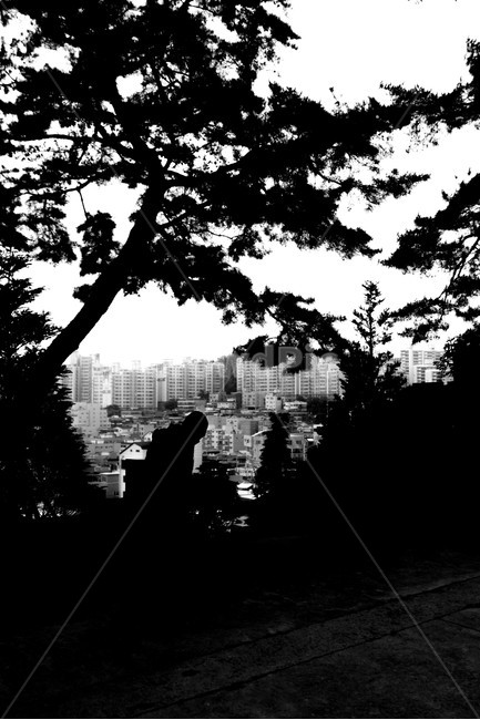 흑백,대비,그림자,실루엣,도시,나무,도시,풍경,city,landscape,한국도시풍경,한국도시경관,korea cityscape,사람,인물,인간,human,person,인물실루엣,사람실루엣,character silhouette,human silhouette,흑백,모노톤,monochrome,black and white,silhouette,plant,식물,tree