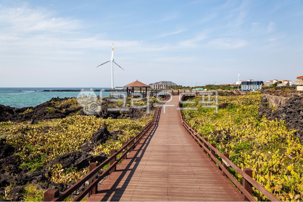 월령리,둘레길,한담,제주도,풍력발전기,터빈,풍력발전,돌,길,도로,공원,바다,해안,풍경,바닷가,자연,나무,데크,선인장,제주도,jeju,jeju island