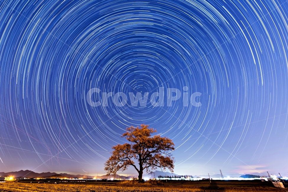 Junam Reservoir,Alone tree,star,star movement,diurnal movement