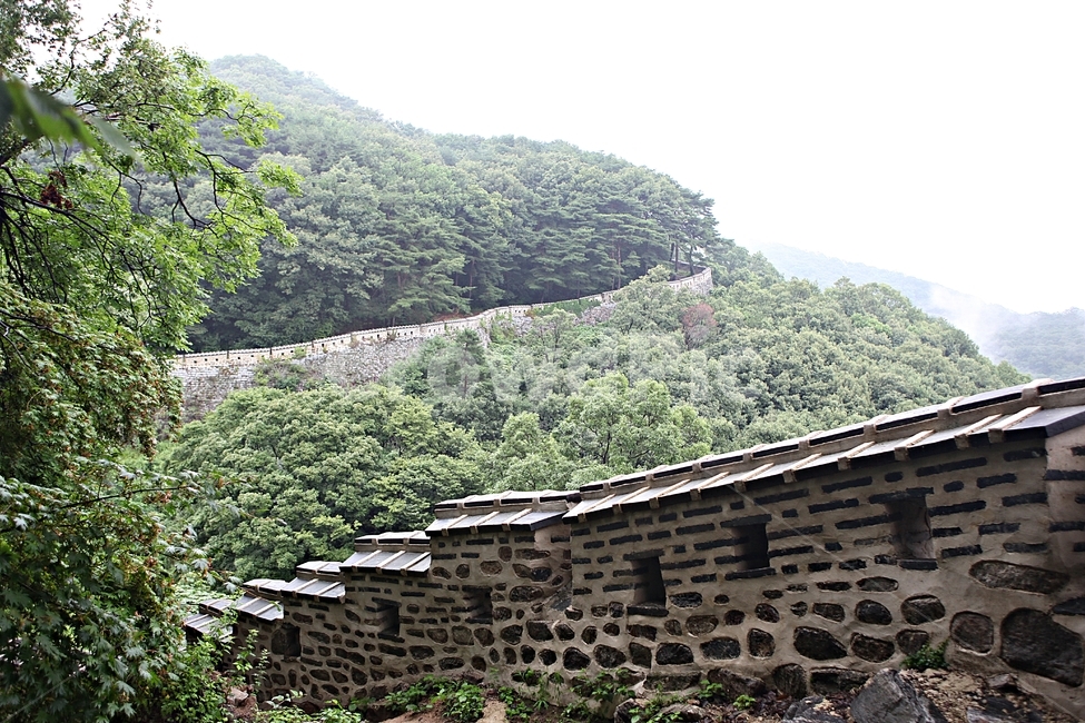 남한산성,성,성곽,숲,숲길,길,둘레길,벽,담,돌담,풍경,여름