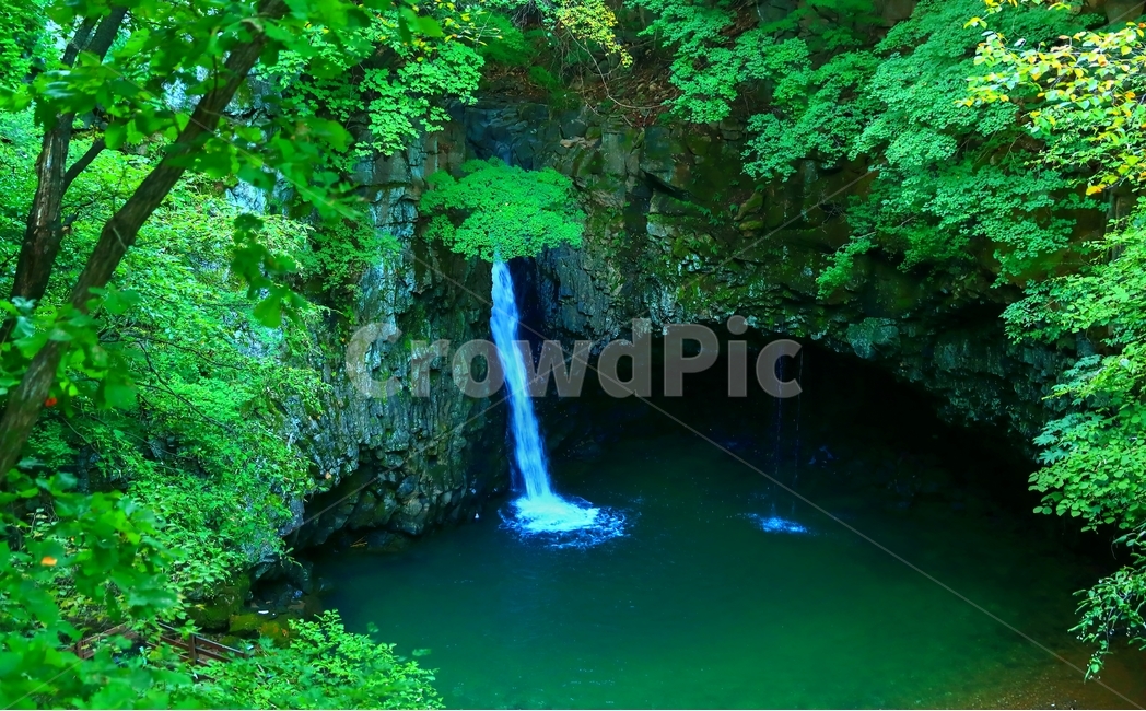 비둘기낭폭포,한탄강,주상절리,폭포,강,용암,자연,풍경,nature,landscape,한국자연풍경,한국자연경관,korea nature landscape,water,물,river,outdoors,옥외,waterfall