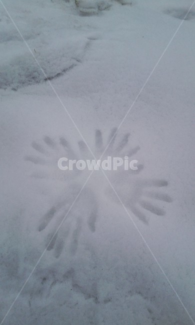 눈,손,snow,풍경,야외,겨울,계절,winter,season