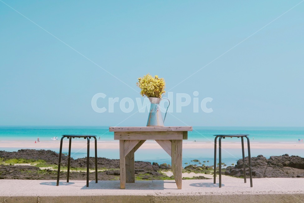 바다,꽃,테이블,의자,감성사진,여름,상쾌함,해변,제주도,제주도,jeju,jeju island,꽃,flower