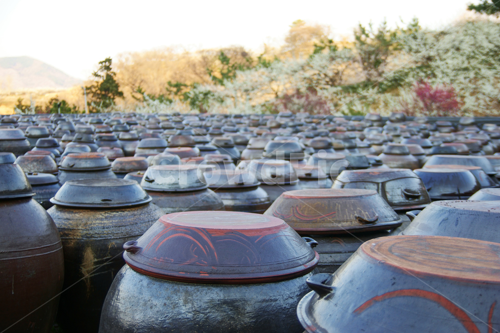 항아리,장독대,전통,pottery,traditional,culture,문화,배경,전통배경,한국전통,한국문화,korean traditional,korean culture