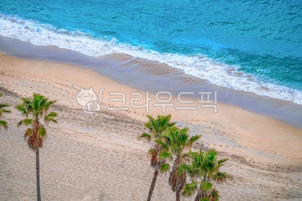 여름,바다,바닷가,야자수,에메랄드,해변,트로피칼,palmtree,모래,백사장,해안선,풍경