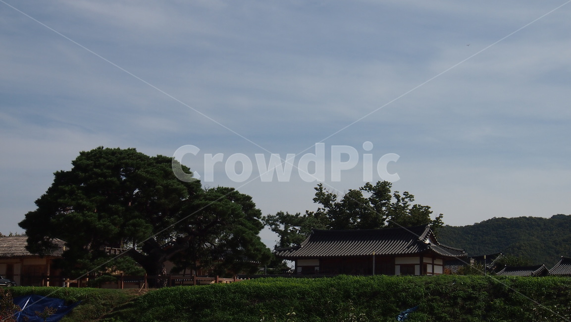하회마을,한옥마을,기와,파란하늘,traditional,건물,tree,outdoors