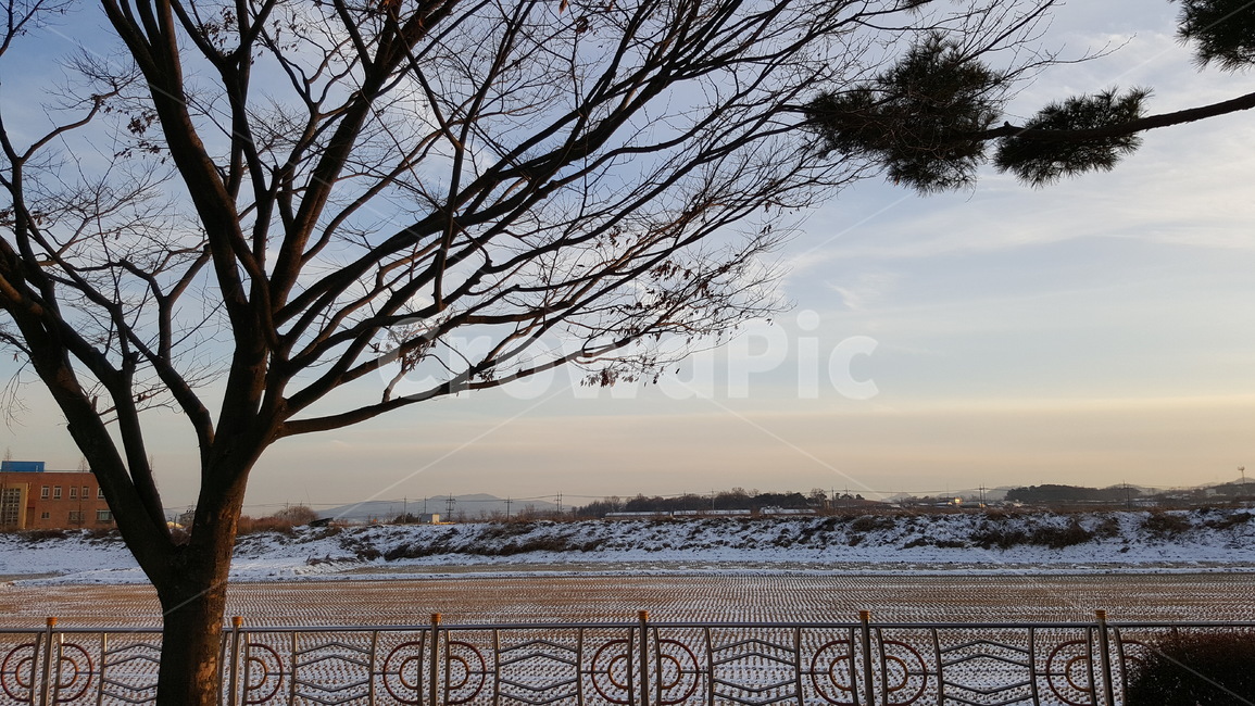 나무,하늘,논,들,노을,겨울,겨울,계절,winter,season,시골,마을,풍경,landscape,country,rural,town