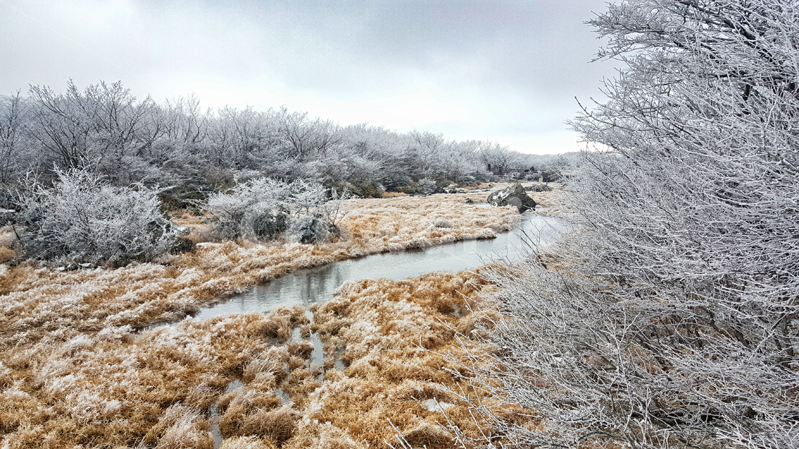 제주도,한라산,1100고지,한라산1100고지,설경,눈꽃,겨울,자연,옥외,눈,nature,outdoors,snow,풍경,겨울풍경,습지,겨울,계절,winter,season,자연,풍경,nature,landscape