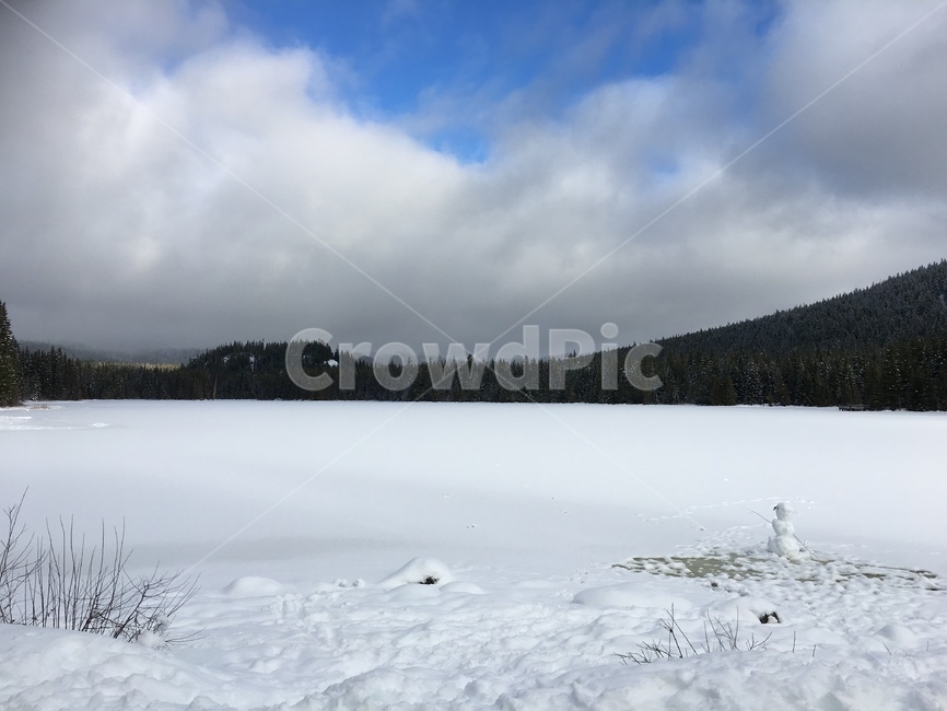 눈,배경,미국,겨울,trilliumlake,겨울,계절,winter,season,자연,풍경,nature,landscape,outdoors,옥외,tree,나무,fir,전나무,plant,식물
