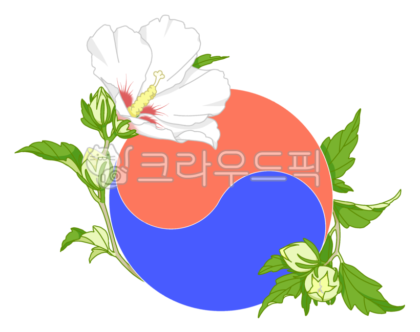 Nukki,Hangul Day,Constitution Day,Independence Movement Day,flower branch,national holiday,Liberation Day,Memorial Day,flower,Rose of Sharon flower,White Rose of Sharon,korea,plant,Rose of Sharon,illustration,Taegeuk