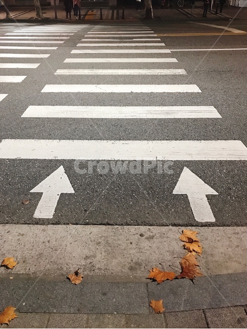asphalt,아스팔트,road,도로,낙엽,건널목,화살표,저녁,가을,회색,gray,autumn