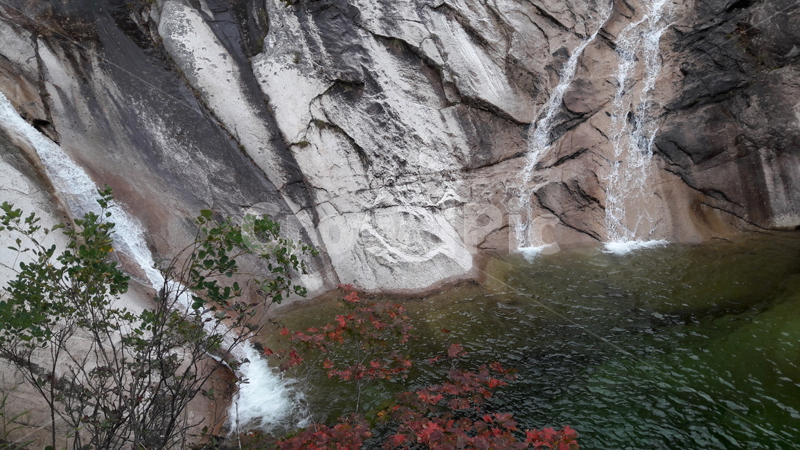설악산,수렴동계곡,폭포,쌍용폭포,단풍,가을,자연,풍경,nature,landscape,plant,식물,leaf,잎,outdoors,옥외,tree,나무