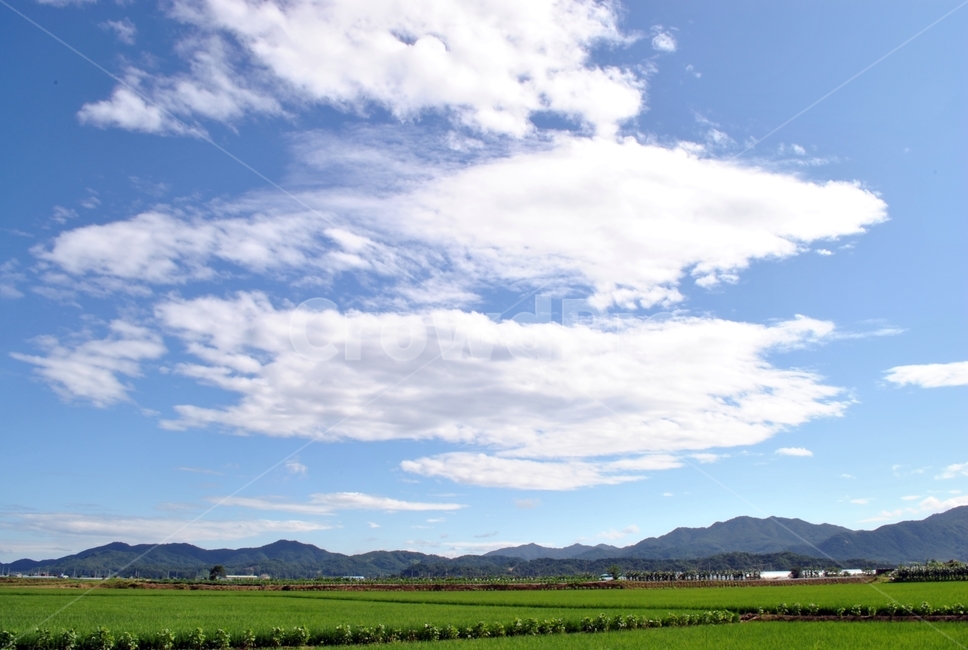 하늘,가을,구름,맑은날,들녁,sky,fall,cloud,sunny,field,자연,풍경,nature,landscape,outdoors,옥외,grassland,목초지,들
