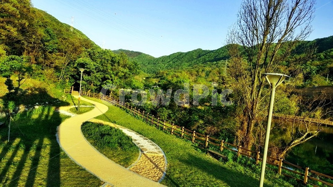 풍경,둘레길,자연,나무,저수지,물,자연,풍경,nature,landscape