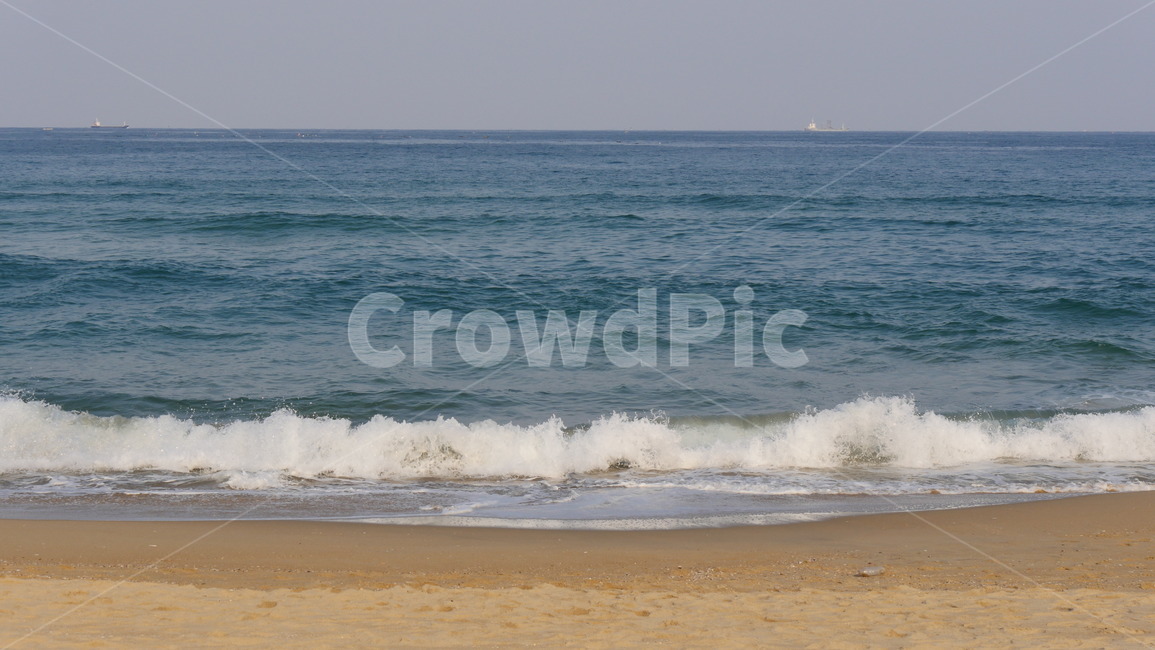 파도,바다,모래사장,맑음,선명한,해변,바다,beach,sea