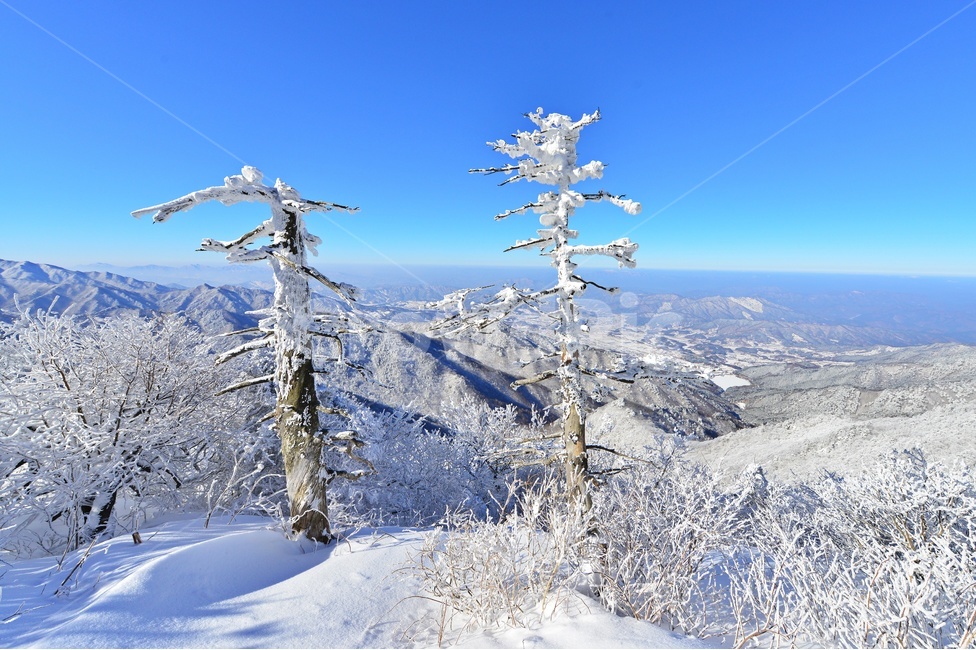 무주덕유산,덕유산설경,덕유산중봉,덕유산상고대,덕유산터줏대감,덕유산주목,nature,자연,mountain,산,mountainrange,산맥,ice,얼음,겨울,계절,winter,season