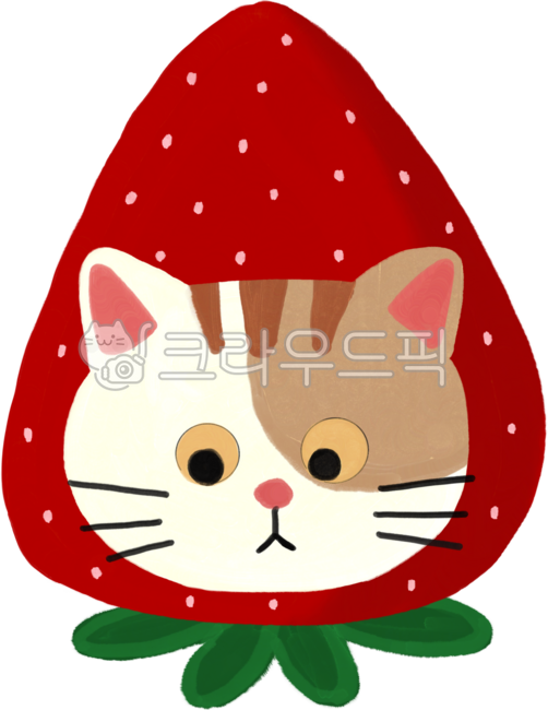 딸기,strawberrycat,cat,딸기고양이,고양이