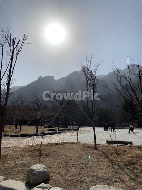 태양,햇빛,산,깨끗,자연,공기