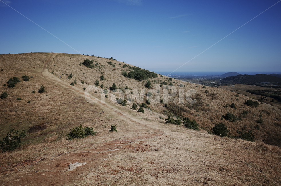 nature,자연,outdoors,옥외,언덕,hill,들판,초원,하늘,sky,bluesky,파란하늘,푸른하늘,field,들,ground,바닥