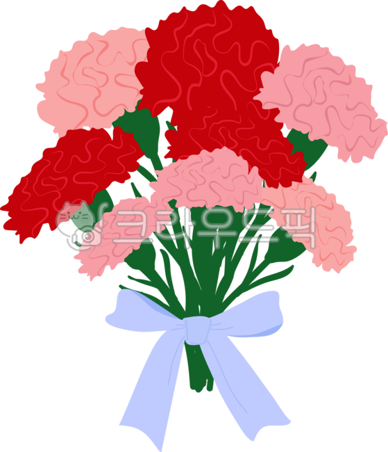 카네이션,꽃,플라워,꽃다발,꽃묶음,어버이날,스승의날,기념꽃,carnations,ribbon,부케,리본,꽃일러스트,플로럴,만개,개화,봄꽃,빨간카네이션,카네이션다발,카네이션부케,블루밍,블라썸,보타닉,flower,floral,blossom,botanic,식물,카네이션일러스트,꽃그림,리본일러스트,리본장식,꽃선물,축하,감사