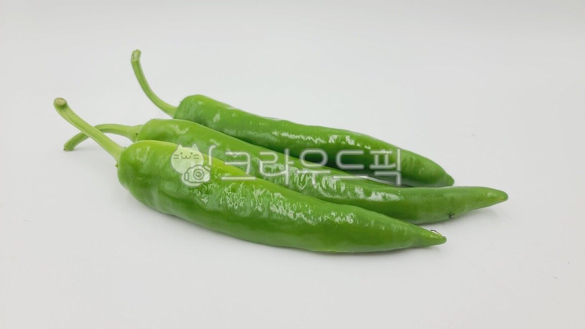 고추,오이고추,큰고추,아삭이고추,청양고추,음식,식재료,요리,food,cook,meal,dishes,food reserves