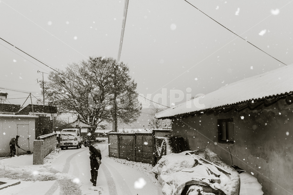눈,폭설,흑백,시골,마을,재설,시골집,옥외,outdoors,nature,겨울,계절,winter,season,시골,마을,풍경,landscape,country,rural,town,골목길,alley,흑백,모노톤,monochrome,black and white