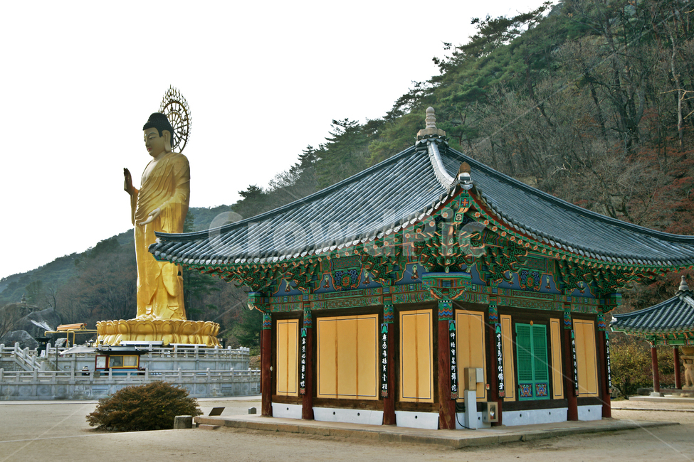원통보전,금동미륵대불,법주사,속리산,보은,금동불,진표율사,한국전통,한국문화,korean traditional,korean culture,종교,신앙,religion,belief,faith,건축물,건물외관,exterior,building,structure,architecture,construction