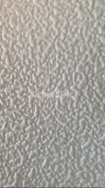배경,흰색,패턴,pattern,white,bakcground,closeup